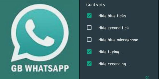 GB WhatsApp-apk-feature